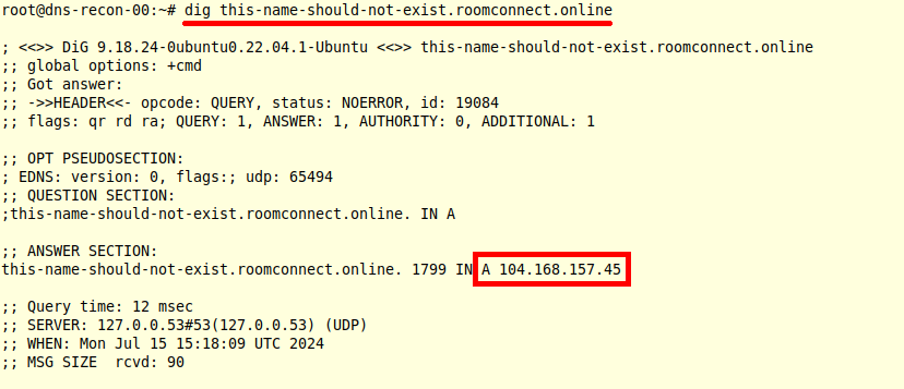 Demonstrating wildcarded subdomain behavior with dig.